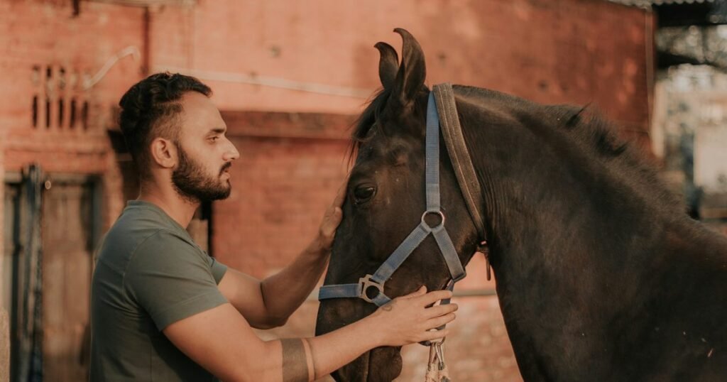 Médico veterinário examinando cavalo em clínica equina