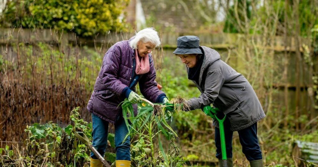 Duas mulheres idosas jardinando ao ar livre, ativas e saudáveis